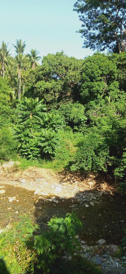 Riverside At Aninuan Accommodation And Food Puerto Galera Extérieur photo
